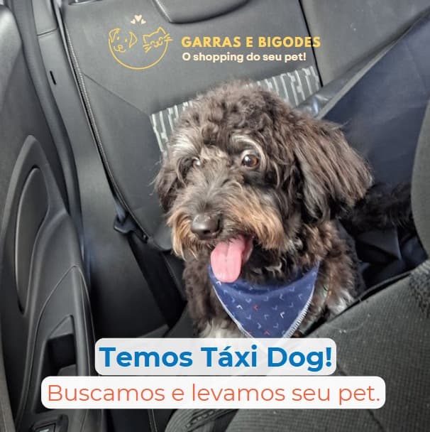 Táxi Dog: Facilitando Sua Rotina com o Pet