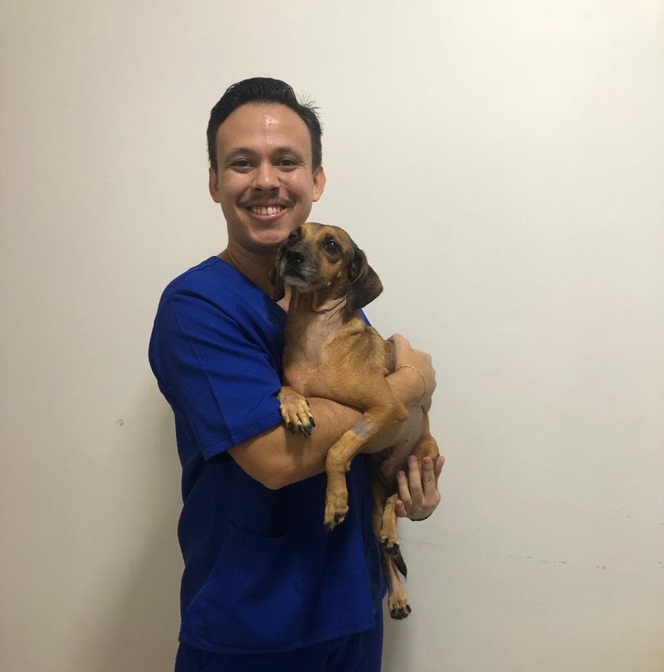 Feliz Dia do Veterinário! Um agradecimento especial da Garras e Bigodes 